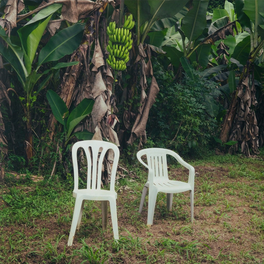 BAD BUNNY - DeBÍ TiRAR MáS FOToS DTMF [Double Vinyl Gatefold] – JB