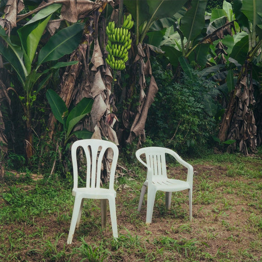 BAD BUNNY - DeBÍ TiRAR MáS FOToS DTMF [Double Vinyl Gatefold]